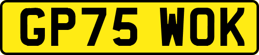 GP75WOK