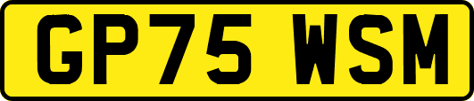 GP75WSM
