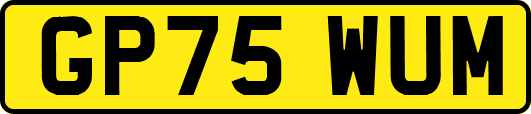 GP75WUM