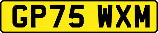 GP75WXM