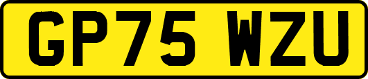 GP75WZU