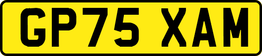 GP75XAM