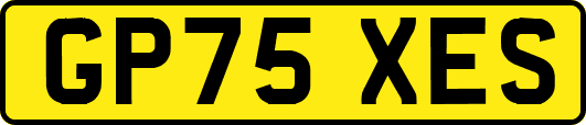 GP75XES