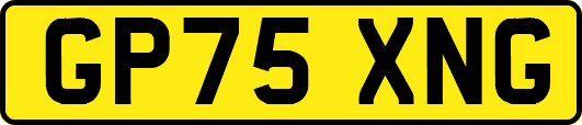GP75XNG