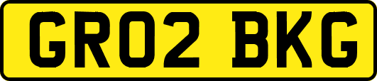 GR02BKG
