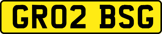 GR02BSG