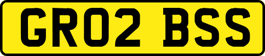 GR02BSS