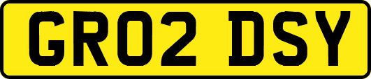 GR02DSY