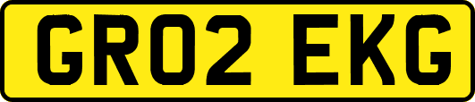 GR02EKG