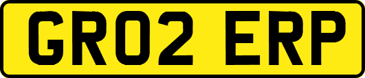 GR02ERP