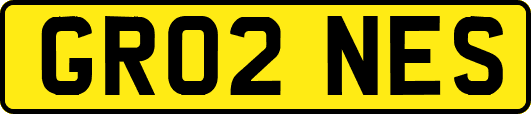 GR02NES