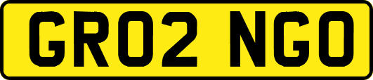 GR02NGO