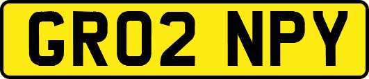 GR02NPY
