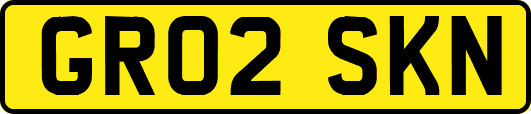 GR02SKN