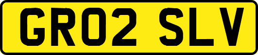 GR02SLV