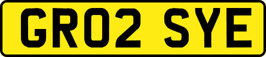 GR02SYE