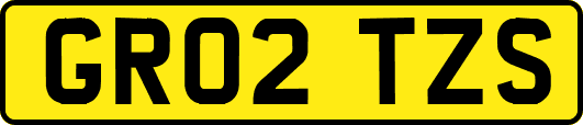 GR02TZS