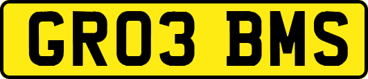 GR03BMS