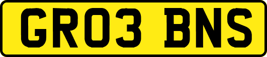 GR03BNS