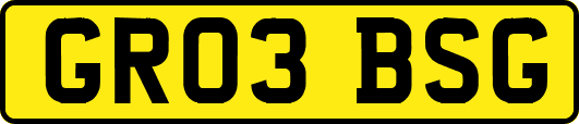 GR03BSG
