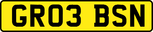 GR03BSN