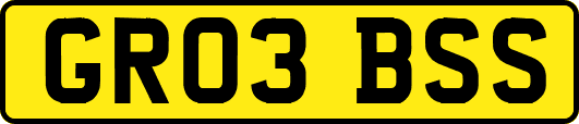 GR03BSS