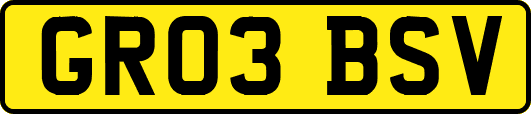 GR03BSV