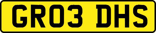 GR03DHS