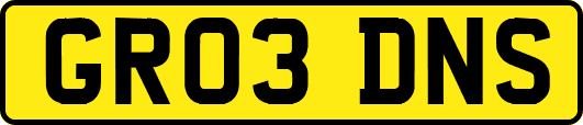 GR03DNS