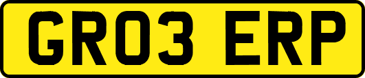GR03ERP