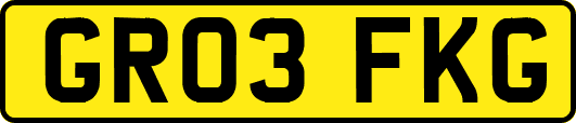 GR03FKG
