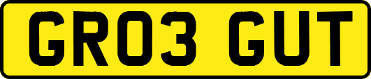 GR03GUT