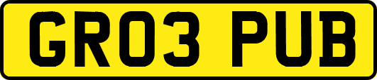 GR03PUB
