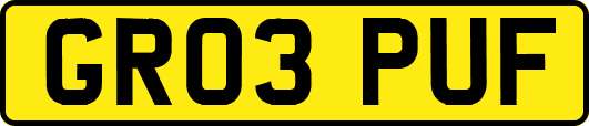 GR03PUF