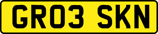 GR03SKN