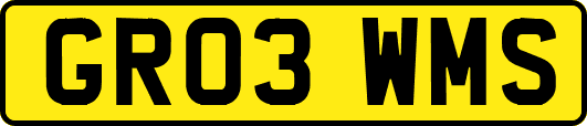 GR03WMS