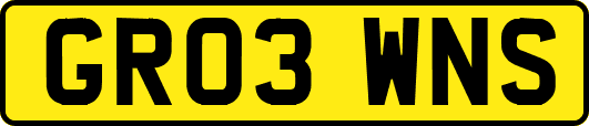 GR03WNS