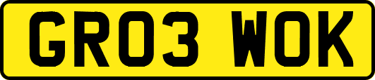GR03WOK