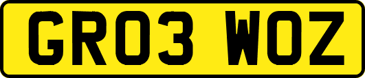 GR03WOZ