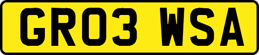 GR03WSA
