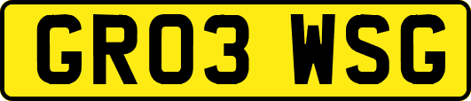 GR03WSG