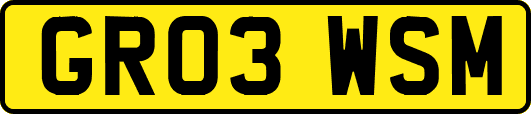 GR03WSM