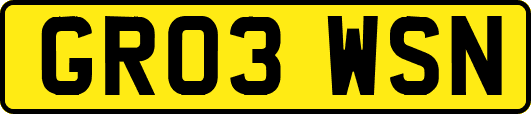 GR03WSN