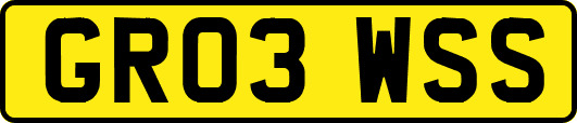GR03WSS