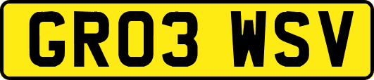GR03WSV