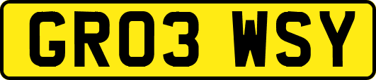GR03WSY