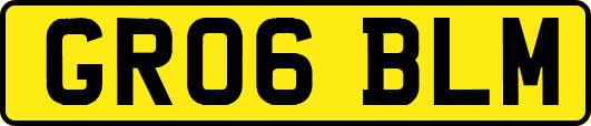GR06BLM
