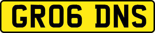 GR06DNS