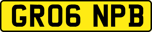GR06NPB