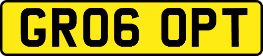GR06OPT